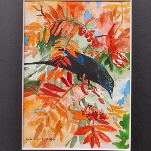 Amsel