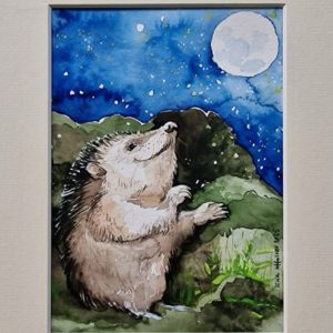 Igel