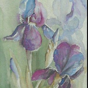 Iris