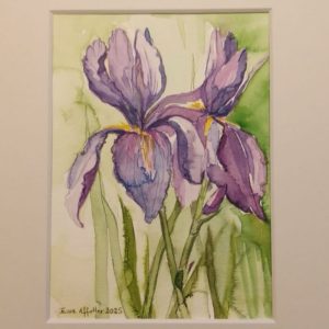Irisblüten