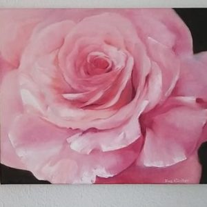 Rosa Rose