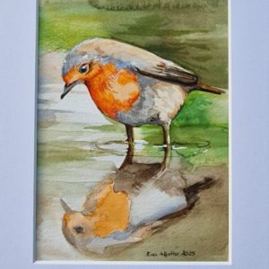 Rotkehlchen