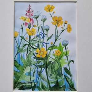 Sommerwiese