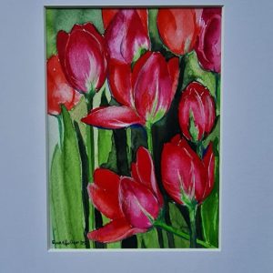 Tulpen