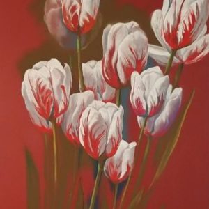 Tulpen