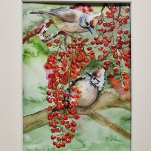 Vögel